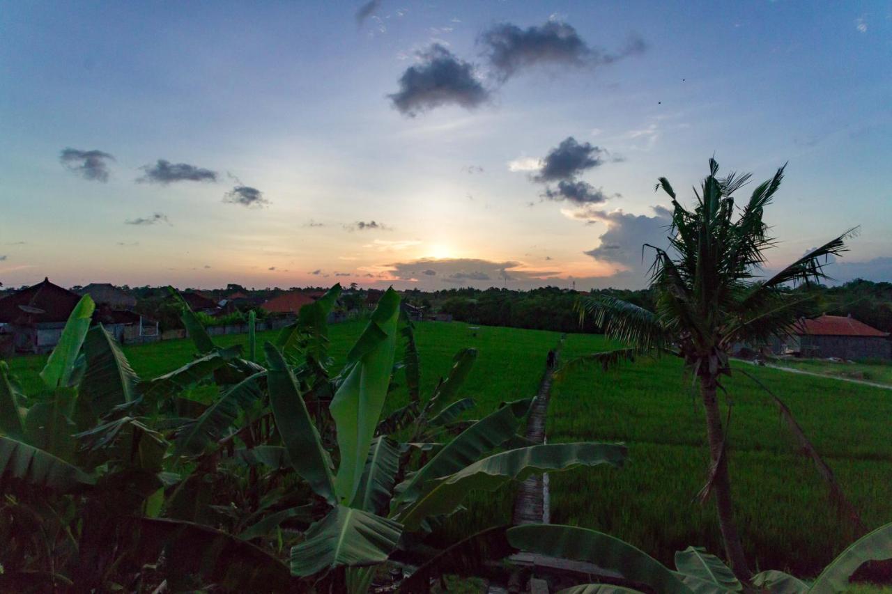 Samadi Bali Homes Canggu Exteriér fotografie